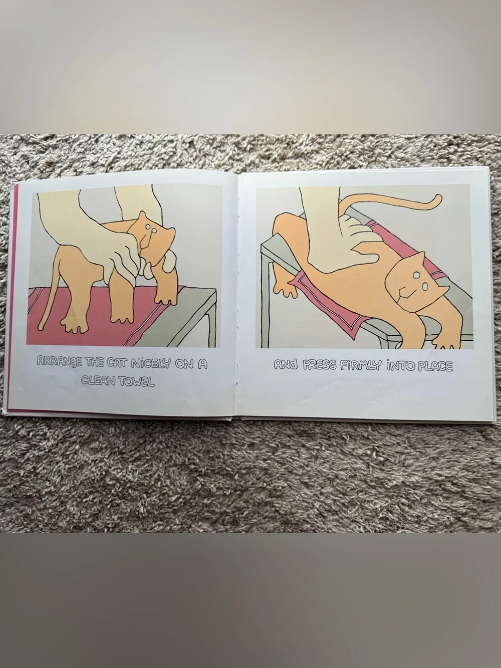 How to Massage Your Cat Alice M Brock 1992 Chronicle Books Vintage Hardcover